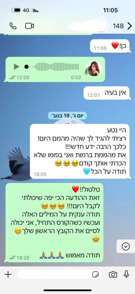 תמונה של WhatsApp‏ 2025-01-09 בשעה 12.08.09_72e039c9